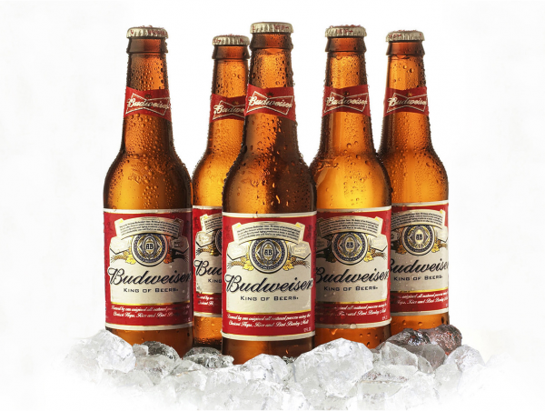 Budweiser 24 x 330ml