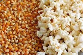 Popping Corn 500g