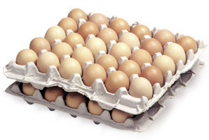 Barn Medium Eggs x 60