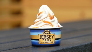 Jersey Gold Ice Cream Mix 12 x 1ltr