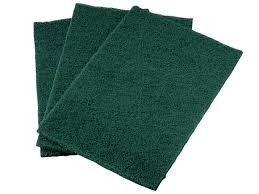 Green Scouring Pads x 10
