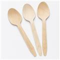 100% Compostable Wooden Teaspoons x 100