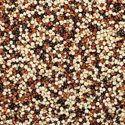 Quinoa Tri-Colour 500g