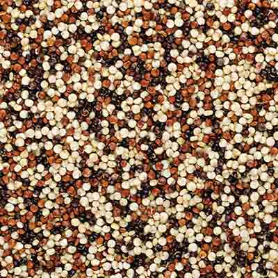 Quinoa Tri-Colour 500g