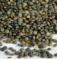Speckled Green Lentils 1kg