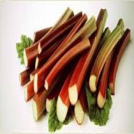 Solid Pack Rhubarb 2.84kg