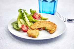 Katerveg Vegetable Burgers 48 x 63g