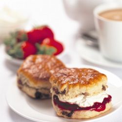 Kara Frozen Sultana Scones 60 x 61g