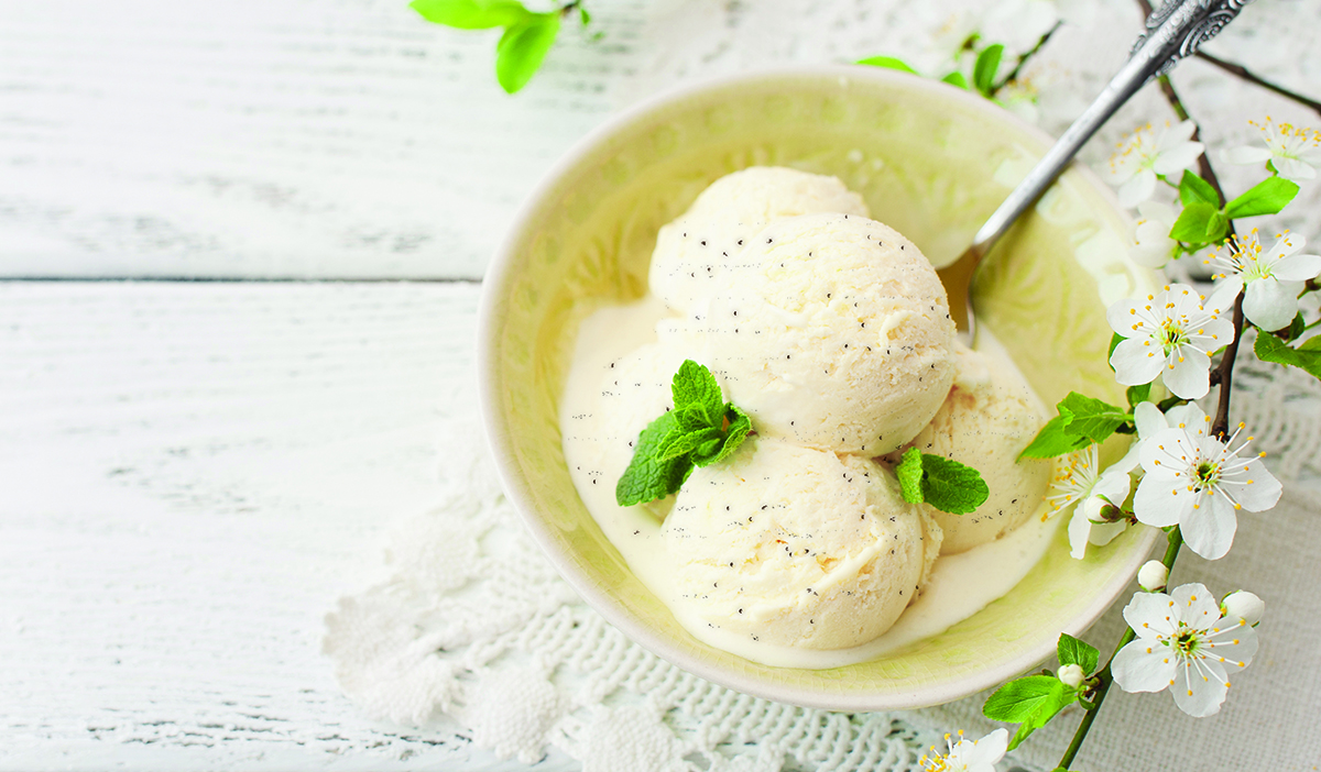 Love Vegan Vanilla Ice Cream 4 ltr