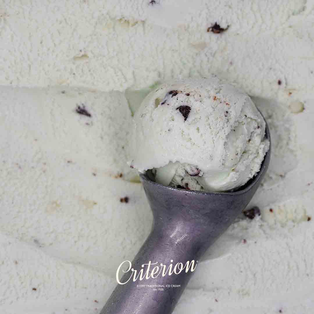 Criterion Mint Choc Chip Ice Cream 5ltr NMC