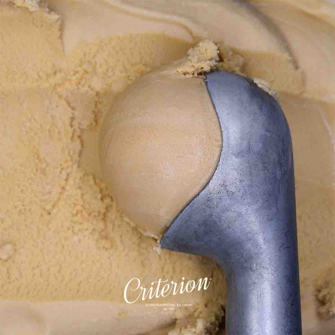 Criterion Salted Caramel Ice Cream 5ltr NSC