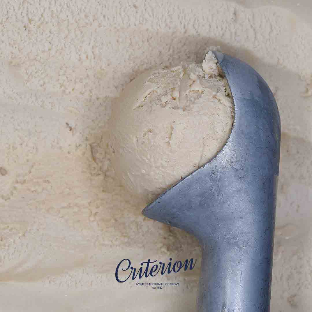 Criterion Hazelnut Ice Cream 5ltr NH