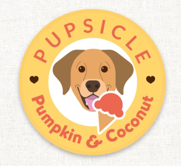 Danns Pumpkin & Coconut Pupsicle x24