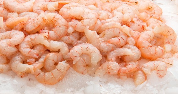 Luxury Cooked & Peeled Prawns 125/175 2kg