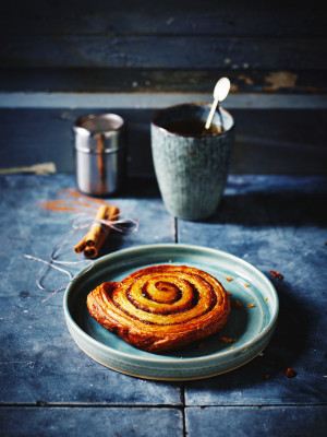 Panesco Cinnamon Swirl 48 x 85g